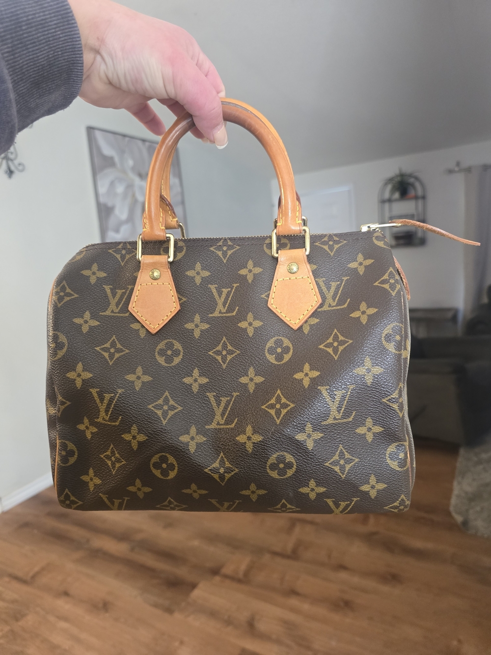Louis Vuitton Monogram Canvas Speedy Handbag in Brown